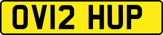 OV12HUP