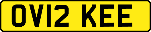 OV12KEE
