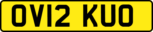 OV12KUO