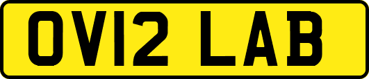 OV12LAB