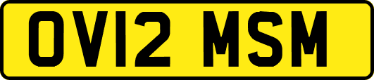 OV12MSM
