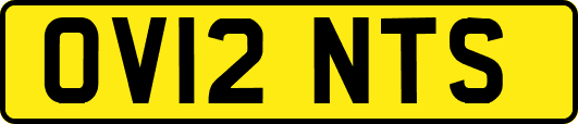 OV12NTS