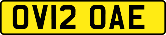 OV12OAE