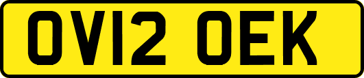 OV12OEK