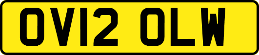OV12OLW