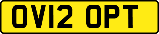 OV12OPT