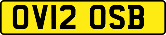 OV12OSB