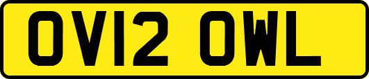 OV12OWL