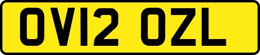 OV12OZL