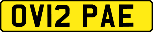 OV12PAE