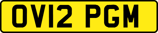 OV12PGM