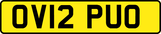 OV12PUO