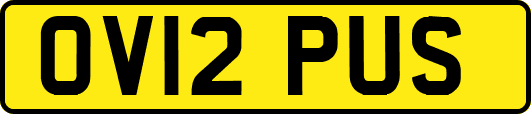 OV12PUS