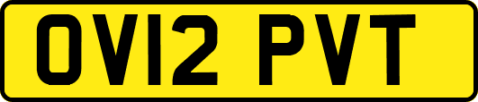 OV12PVT