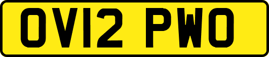 OV12PWO