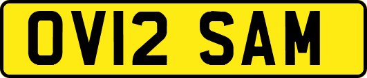 OV12SAM
