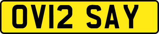 OV12SAY