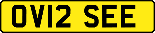 OV12SEE