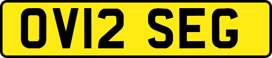 OV12SEG