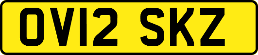 OV12SKZ