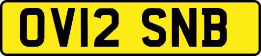 OV12SNB
