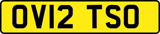 OV12TSO