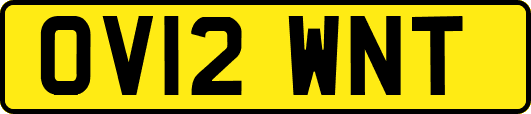 OV12WNT