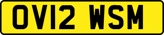 OV12WSM