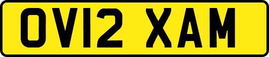 OV12XAM