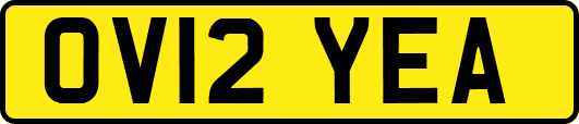 OV12YEA