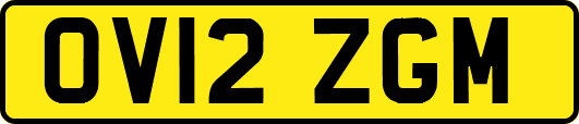 OV12ZGM