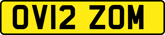 OV12ZOM
