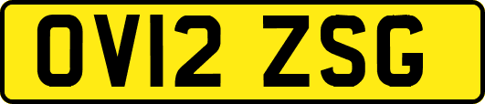 OV12ZSG