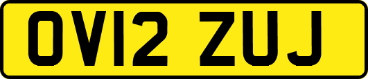 OV12ZUJ