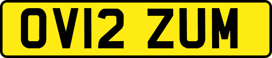 OV12ZUM