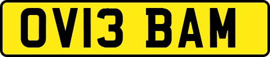 OV13BAM