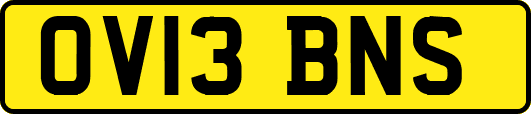 OV13BNS