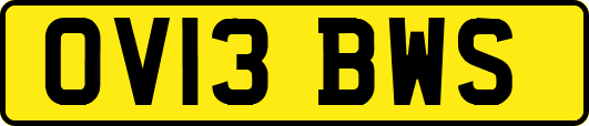 OV13BWS