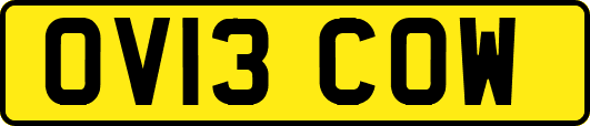 OV13COW