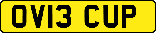 OV13CUP