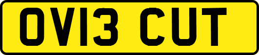 OV13CUT