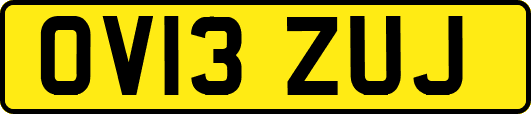 OV13ZUJ