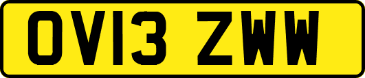 OV13ZWW