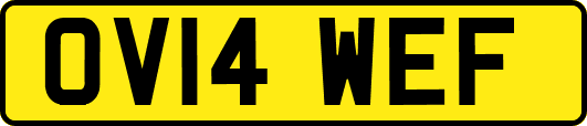 OV14WEF
