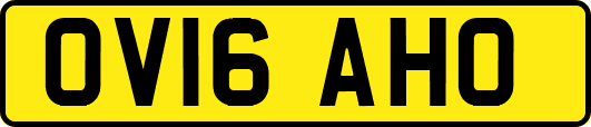 OV16AHO