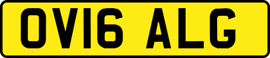 OV16ALG