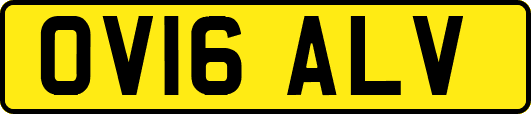 OV16ALV