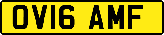 OV16AMF