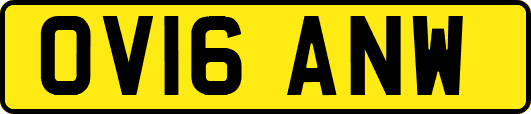 OV16ANW