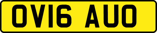 OV16AUO